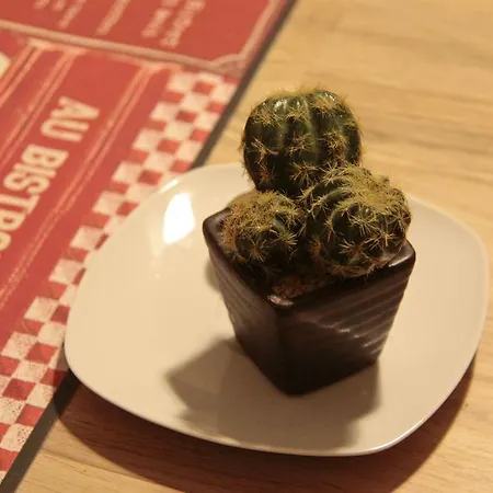 招待所 斯培西亚度假旅馆 斯培西亚